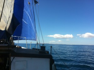 sail2 (Sailing – Compass Rose)